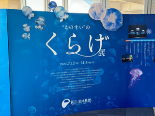 新江ノ島水族館byくるみん