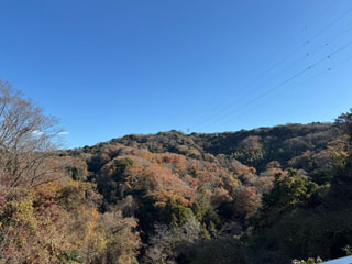 上郷　森の家byくるみん