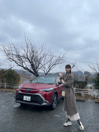 吾妻山公園の菜の花（二宮町）