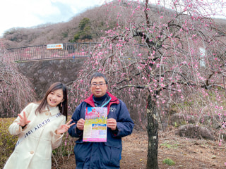 湯河原　梅の宴（湯河原町）