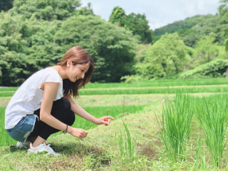 棚田保存と井上酒造