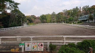 馬の博物館