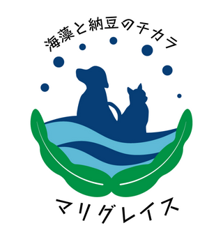 エシカルな海運ビジネスに注目！「合同会社 海と緑の技術研究舎」代表 平賀和徳さん③