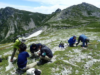 あなたの山での写真が環境保全に役立つかも。「山岳写真データベース」に注目！日本山岳会/東邦大学 植物生態学研究室 准教授 下野綾子さん③