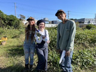 茅ヶ崎市 芹沢にある 不耕起栽培の八一農園からお届け! 衣川木綿さんと衣川晃さん ③