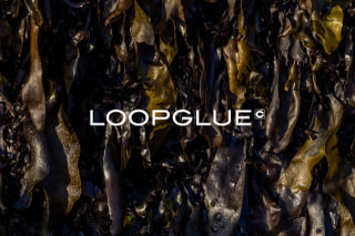 海藻由来を原料とするアルギン酸ナトリウムで作られた新しい接着剤「LOOPGLUE」に注目!　株式会社 博展 鈴木亮介さん&セメダイン株式会社 西村香菜さん②