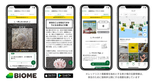 実は知らない！？砂浜を知ろう！「全国砂浜ムーブメント2022」日本自然保護協会 志村智子さん・櫻井亜里沙さん③