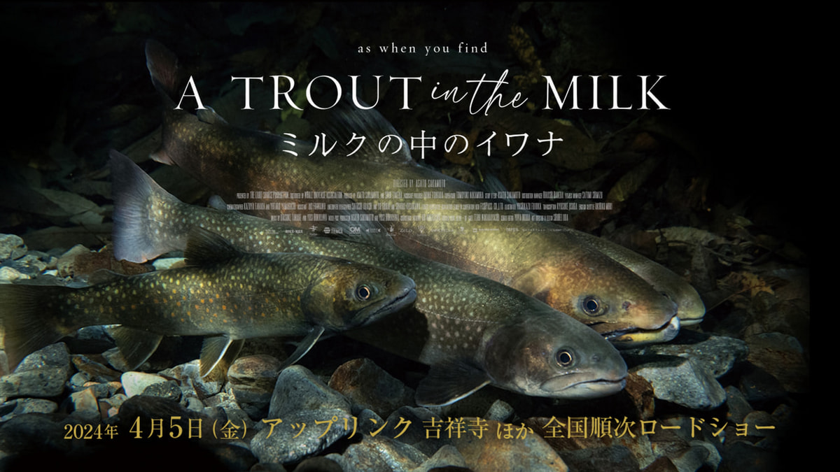 神秘の魚 イワナについて。映画監督 坂本麻人さん、神奈川県立「生命の