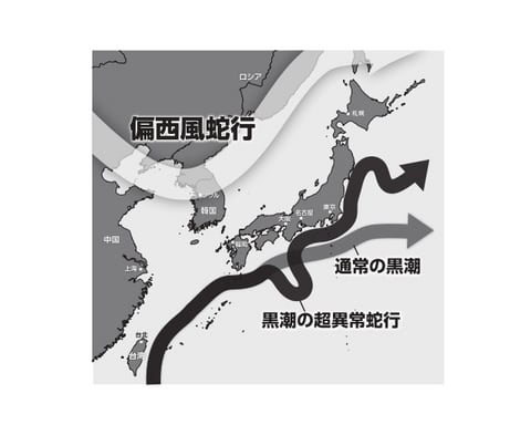 「異常気象の未来予測」に注目! 三重大学大学院 教授 立花義裕さん② | Keep Green ＆ Blue - Fm yokohama 84.7