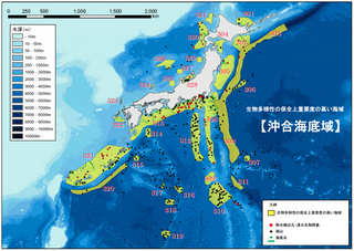 守ろう！私たちの綺麗な海 Vol.716