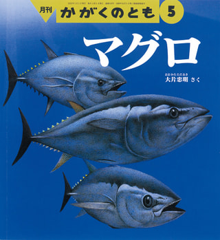 守ろう！私たちの綺麗な海 Vol.449