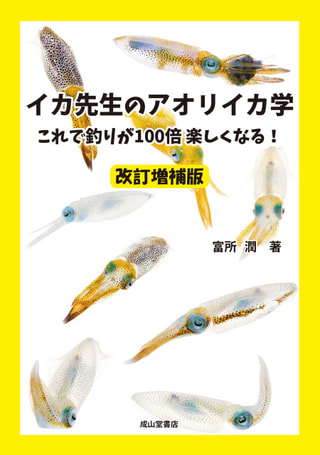守ろう！私たちの綺麗な海 Vol.250