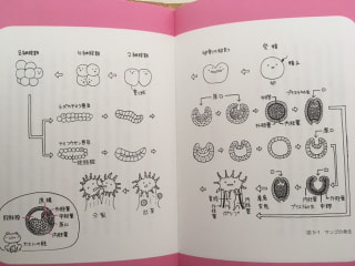 守ろう！私たちの綺麗な海 Vol.263