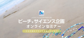 守ろう！私たちの綺麗な海 Vol.284
