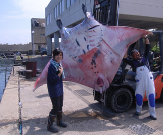 守ろう！私たちの綺麗な海 Vol.463