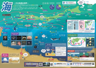 守ろう！私たちの綺麗な海 Vol.582