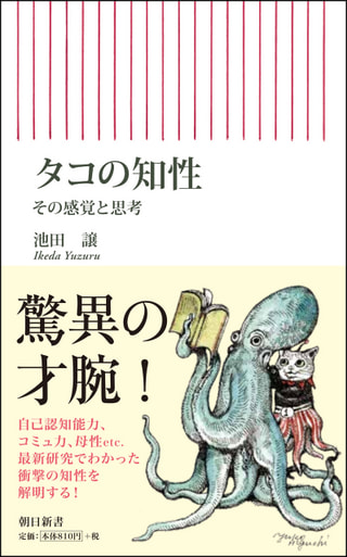 守ろう！私たちの綺麗な海 Vol.332