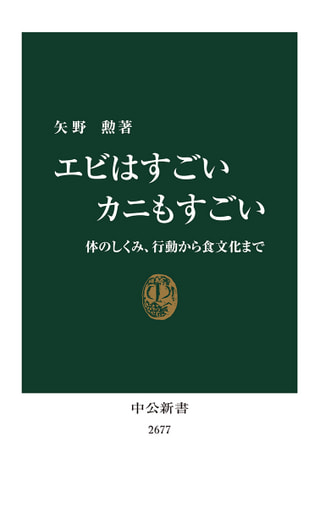 守ろう！私たちの綺麗な海 Vol.414
