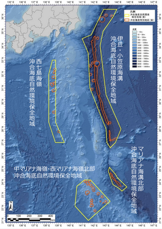 守ろう！私たちの綺麗な海 Vol.715