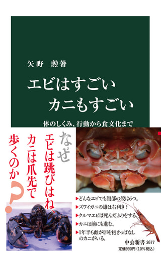 守ろう！私たちの綺麗な海 Vol.411