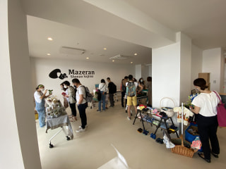 守ろう！私たちの綺麗な海 Vol.278
