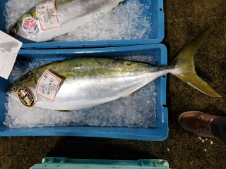 守ろう！私たちの綺麗な海 Vol.380