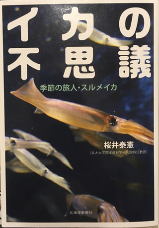 守ろう！私たちの綺麗な海 Vol.379