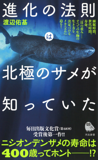 守ろう！私たちの綺麗な海 Vol.221