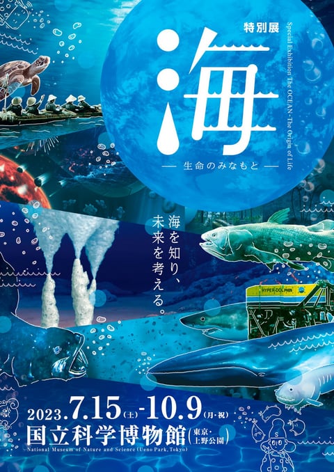 守ろう！私たちの綺麗な海 Vol.679 | Kiss ＆ Ride - Fm yokohama 84.7