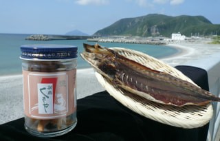 守ろう！私たちの綺麗な海 Vol.311