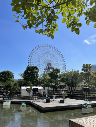守ろう！私たちの綺麗な海 Vol.524