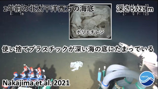 守ろう！私たちの綺麗な海 Vol.289
