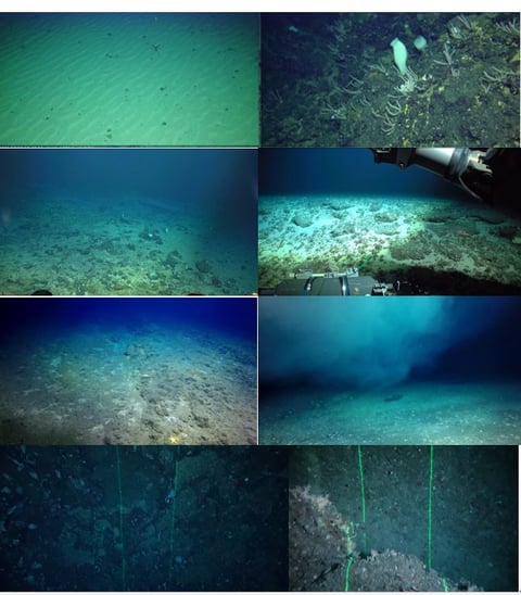 海で使ってました毎回冷水にて洗浄してるので綺麗だと思います。 6976-590-