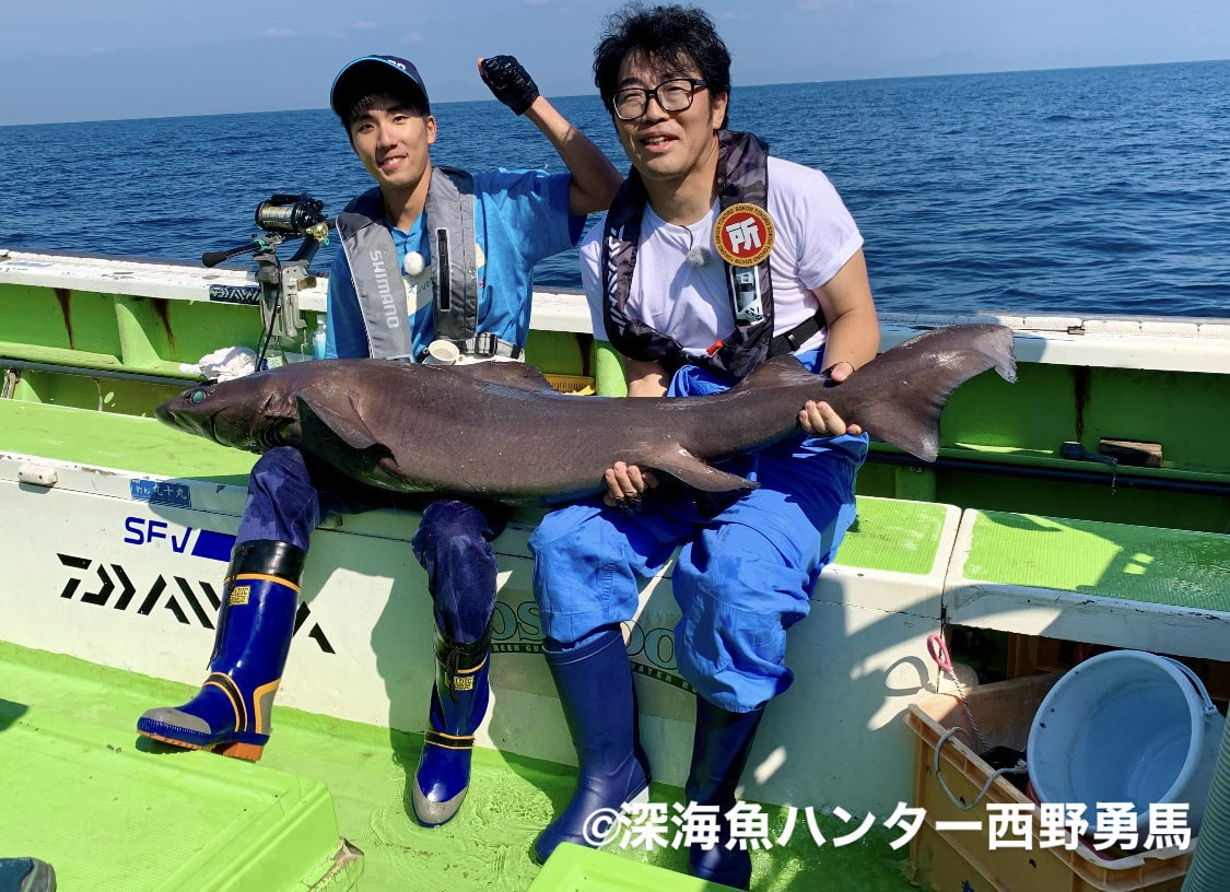 楽天市場】オフィスチェア ワーキングチェア iPole 5 アイポール