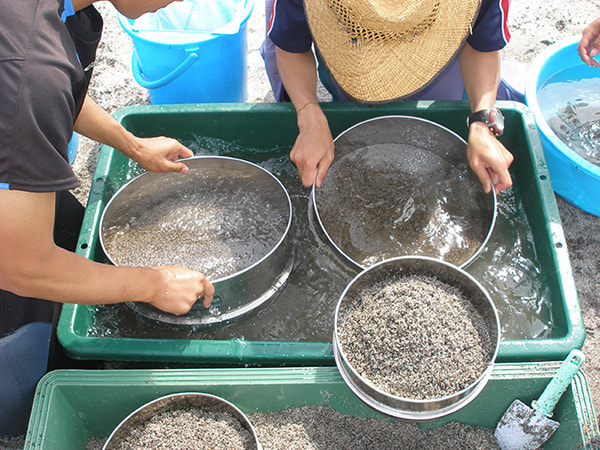 守ろう！私たちの綺麗な海 Vol.574 | Kiss ＆ Ride - Fm yokohama 84.7