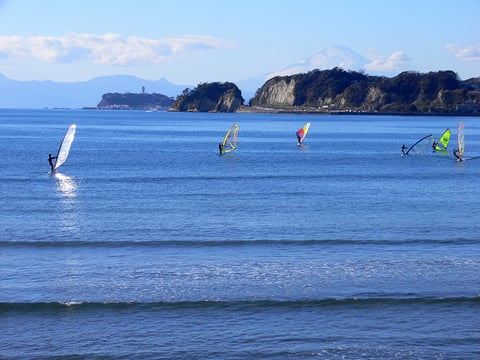 森と海をむすぶ川 : 沿岸域再生のために 森と海をむすぶ川 : 沿岸域再生のために 森と海を