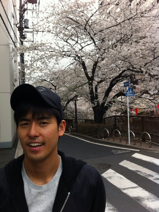 桜～