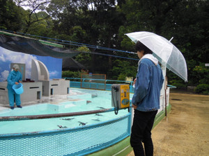 Photo_11