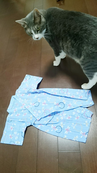 唐突ですが