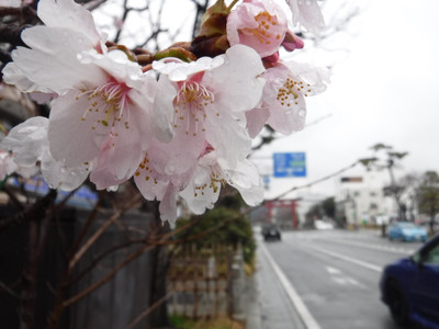 Dscf5823
