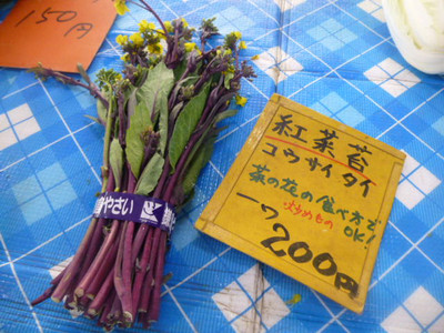 P1030598