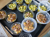 P1040261