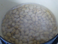 P1070456