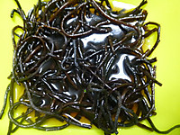 P1090503_2