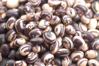 貝豆の『お豆のチカラ』