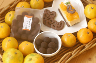 11月のお豆さん