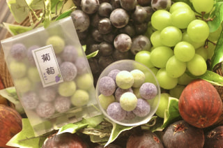 9月のお豆さん