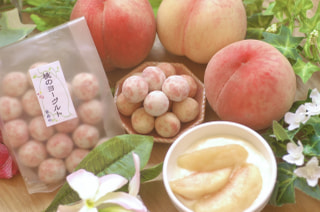 8月のお豆さん