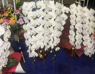 2025年　あなたの収支報告書