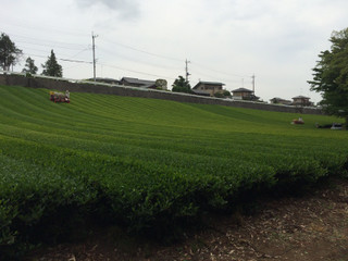 20160506_9_57_30